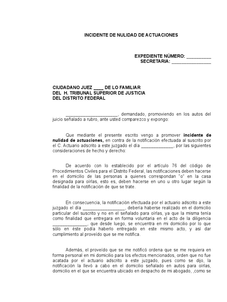Incidente de Nulidad de Actuaciones PDF Información del gobierno Instituciones sociales