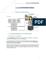 Microorganismos 5 Reinos PDF