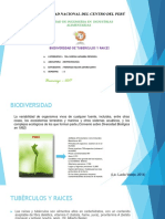 Biodiversidad de Tuberculos y Raices Andinas