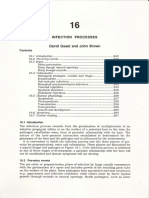 16 Infection processes (DIG&JFB)-1.pdf