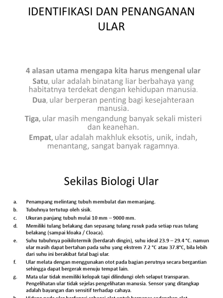 Ular bir yigitni ushladilar va uni pussiesni yalashga majbur qilishdi.