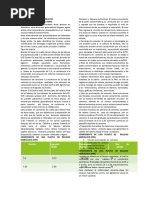 Relleno Hidraulico de Relaves