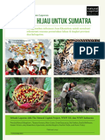 A Green Vision for Sumatra - Report Summary Ind