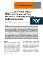 Interactions Between PARK7, PINK1, and Parkin, and Their Function in The Pathophysiology of Parkinson's Disease