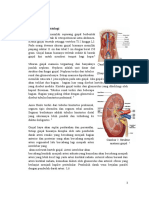 Anatomi dan Fisiologi Ginjal