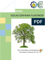 Makalah Flavonoid