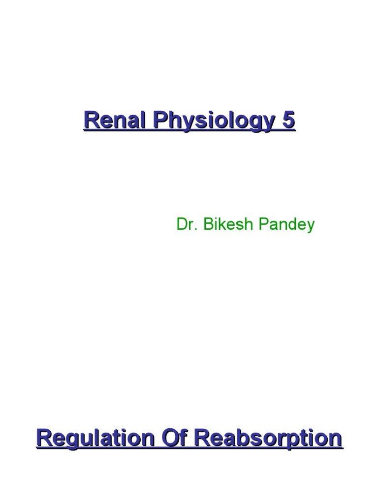 Renal Reabsorption and Hormonal Control | PDF | Renal Function | Creatinine
