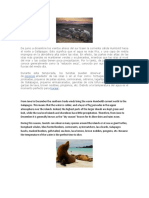 De Junio A Diciembre Los Vientos Alisios Del Sur Traen La Corriente Cálida Humbold Hacia El Norte A Galápagos