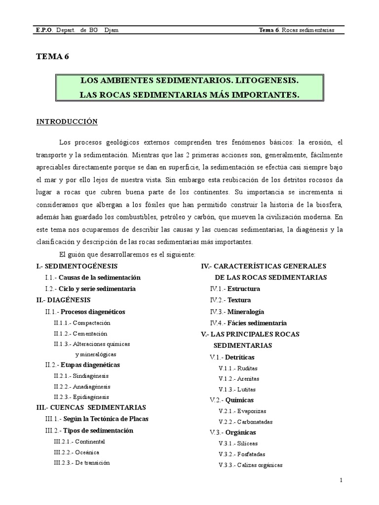 Litogénesis y Rocas Sedimentarias | PDF | Roca clástica | Roca (geología)