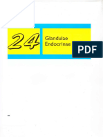 Bab 24 Glandulae Endocrinae PDF