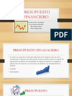 Presupuesto Financiero-1