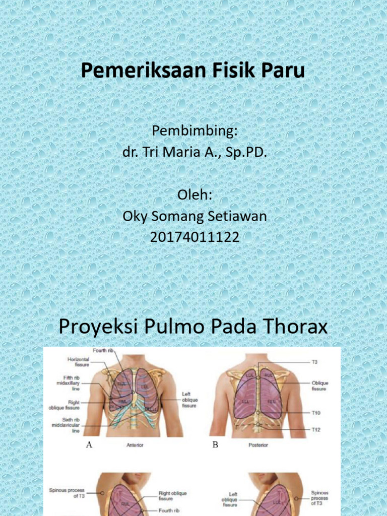 PRESENTASI Oky  Pemeriksaan Fisik Paru