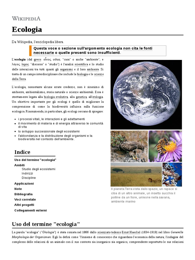 Gazzetta ufficiale C 213/2018, image size:768x1024