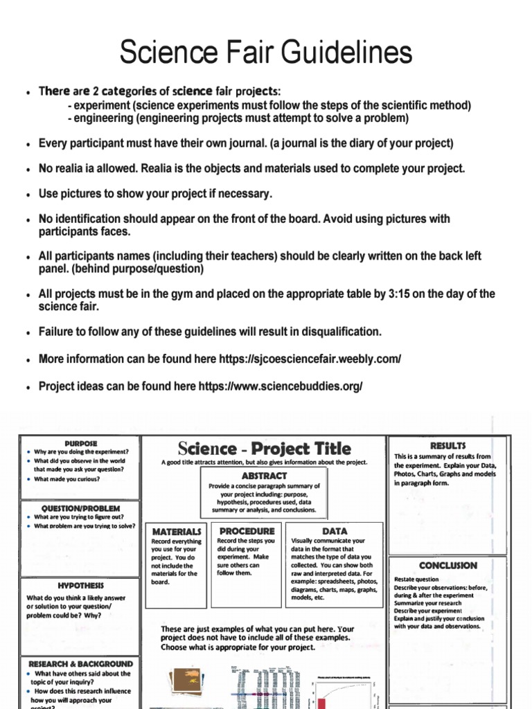 Science Fair Flyer  PDF  Prototype  Scientific Method