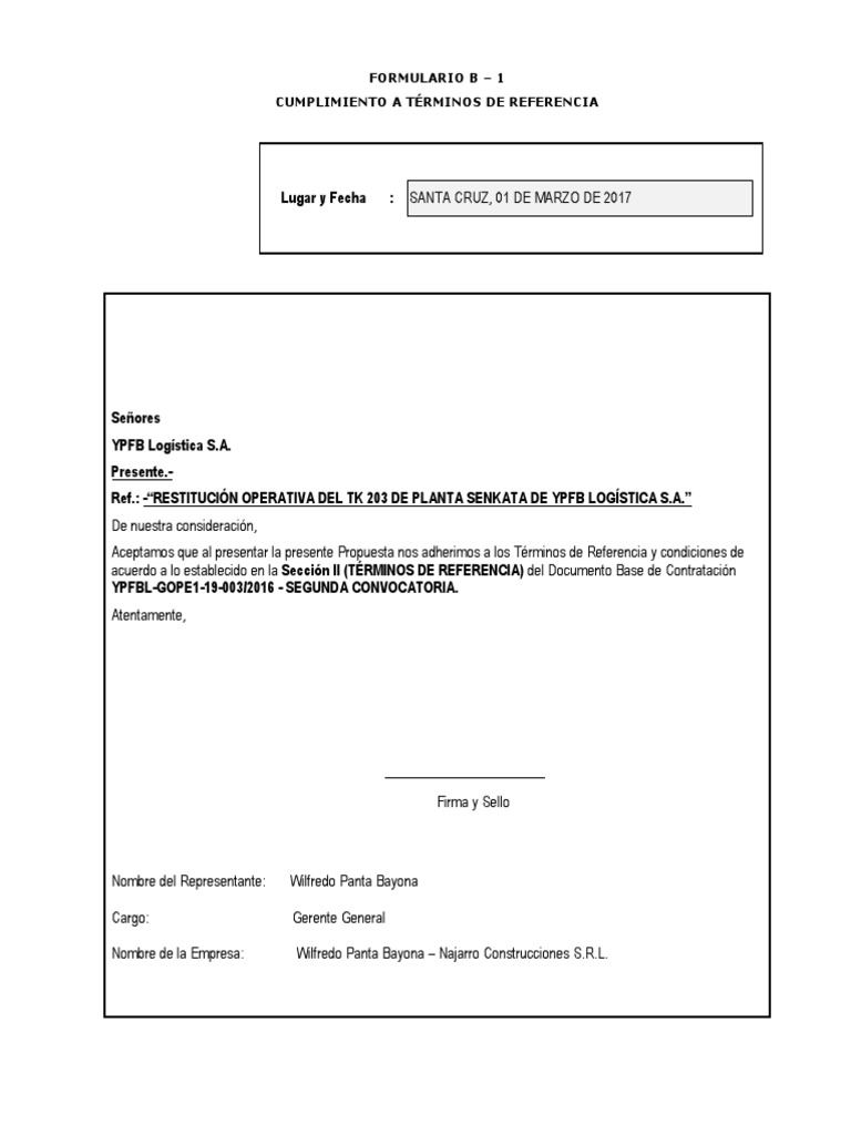 Propuesta Formulario B para YPFB | PDF | Industrias | Materiales