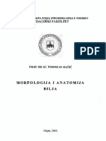Morfologija I Anatomija Bilja (Bačić, 2003)