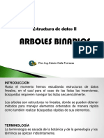 Arboles Binarios PDF