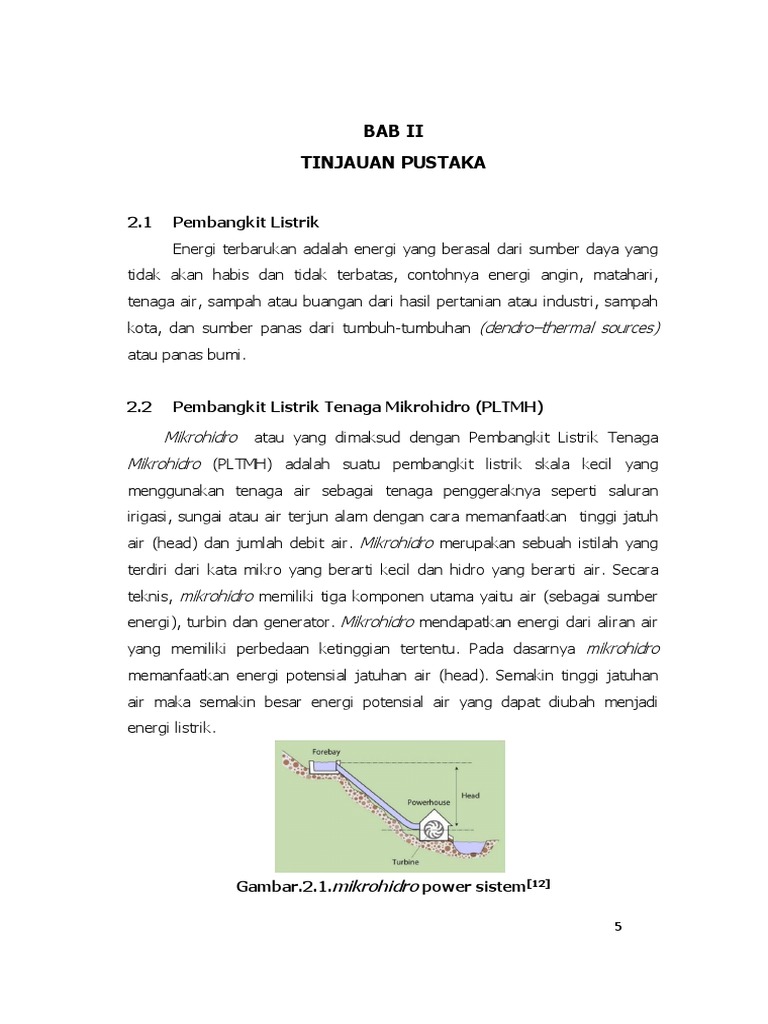 Tinjauan Pustaka 