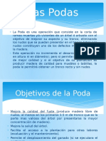 271755660-Podas-Raleos-y-Deshijes.pdf