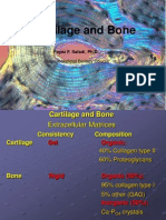 Cartilidge Bone