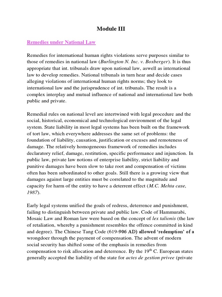 Remedies Under National Law PDF International Human Rights Law