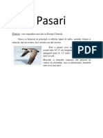 Pasari