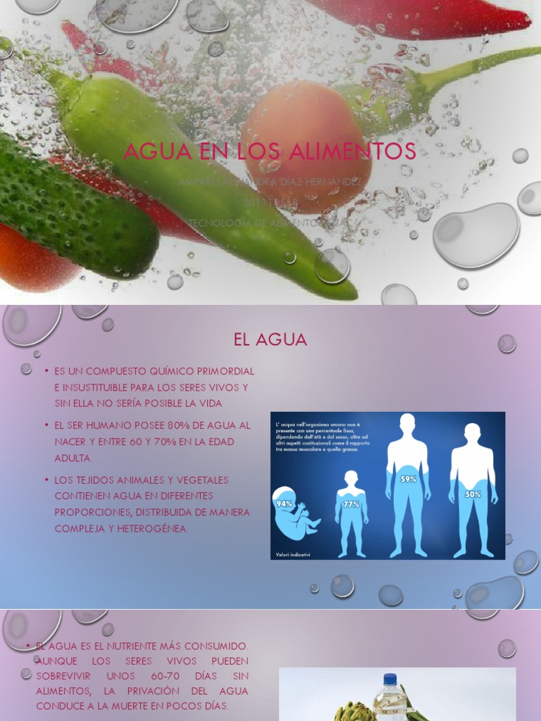 Agua en Los Alimentos