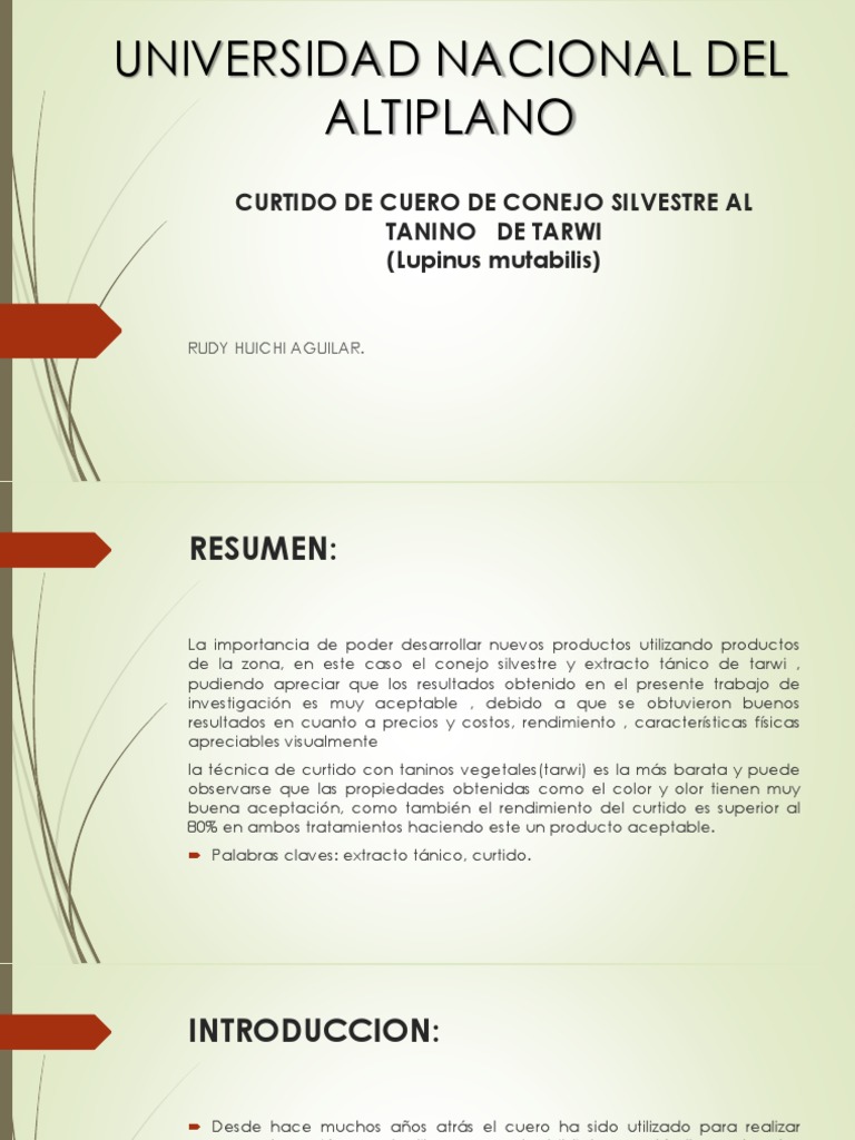 Curtido de Cuero de Conejo Silvestre Al Tanino PDF Cuero