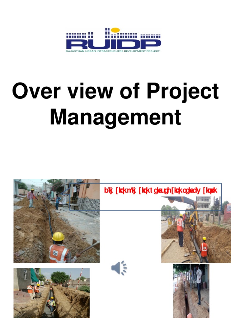 Project Management Overview and Strategies | PDF | Technology & Engineering