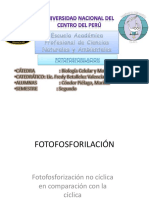 FOTOFOSFORILACIÓN