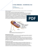 Infeccion Por Schericha Coli