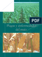 Plagas y Enfermedades Del Maiz PDF