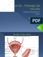 Aula 06 - Fisiologia Da Miccao MBII