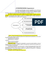 Seminar 3 PIATA INTREPRINDERII PDF