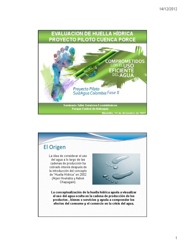 8 - Evaluacion de Huella Hidrica PDF | PDF | Uso del agua | Líquidos