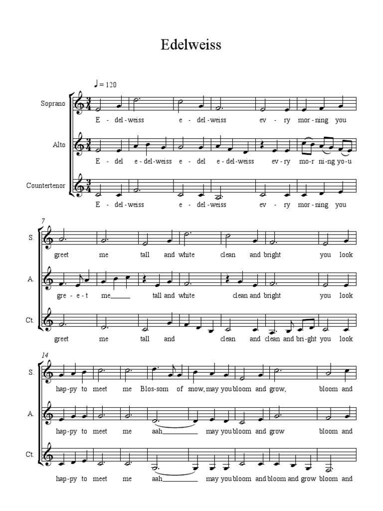 Edelweiss PDF Singing Vocal Music