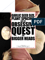 Garlic Seed Size - Plant Spacing - The Obsessive Quest for Bigger Heads