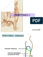 Peritoneo estructura y repliegues