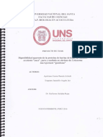 Proyecto de Tesis - Metodologia - Formato