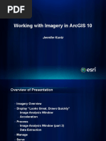 1a Working With Imagery in Arcgis10 PDF