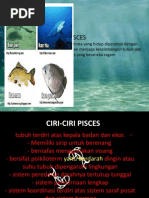 Hewan Tingkat Tinggi