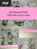 Wa 62 812 1477 0264 Jual Sarang Burung Walet Kalimantan