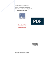 Productividad Luiggigomez PDF