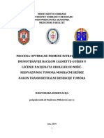 Doktorska Disertacija - Milosevic Radovan