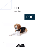 CEFI