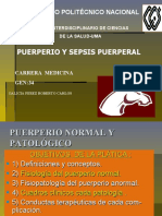 Sepsis Puerperal