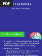 Fisiologi Manusia: DR Mellova Amir MSC