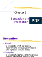 Ch5 Perceptual Set