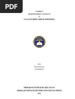 Download Laporan Kegiatan PKL Reef Check by denikurniawan76 SN36785000 doc pdf