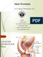 Akut Scrotum: Diagnosis dan Penatalaksanaan